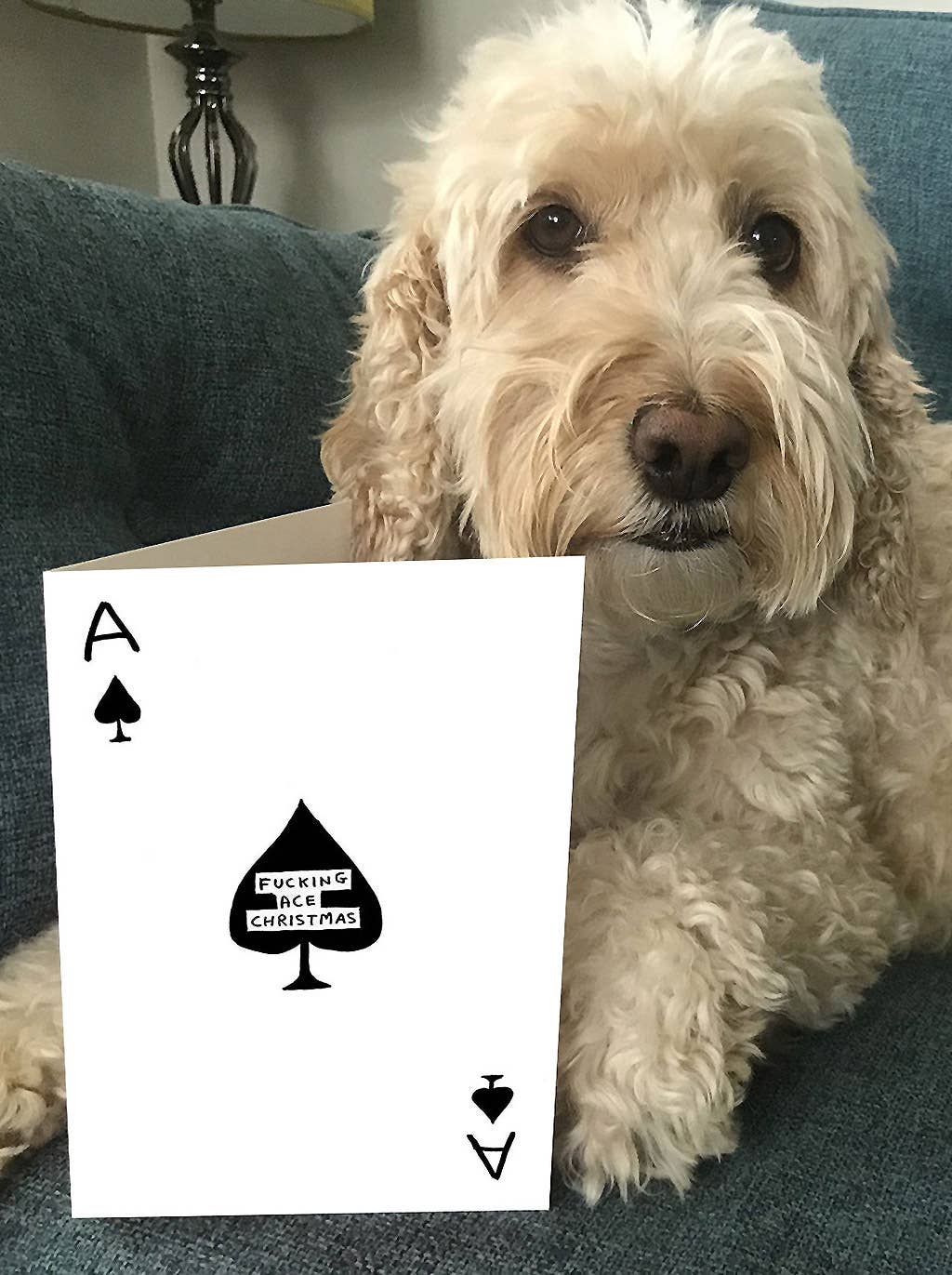 David Shrigley Funny Christmas Card - Fucking Ace