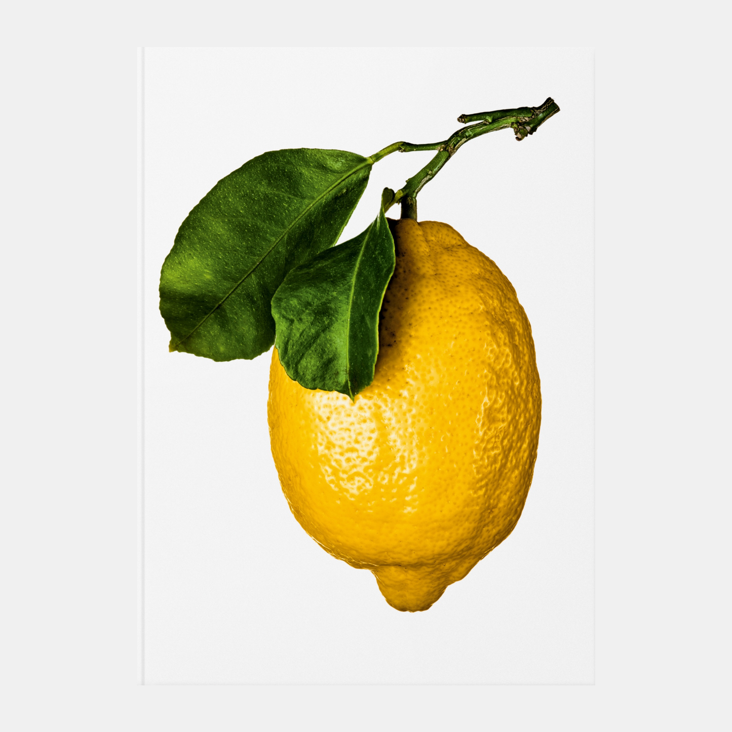 The Gourmand’s Lemon