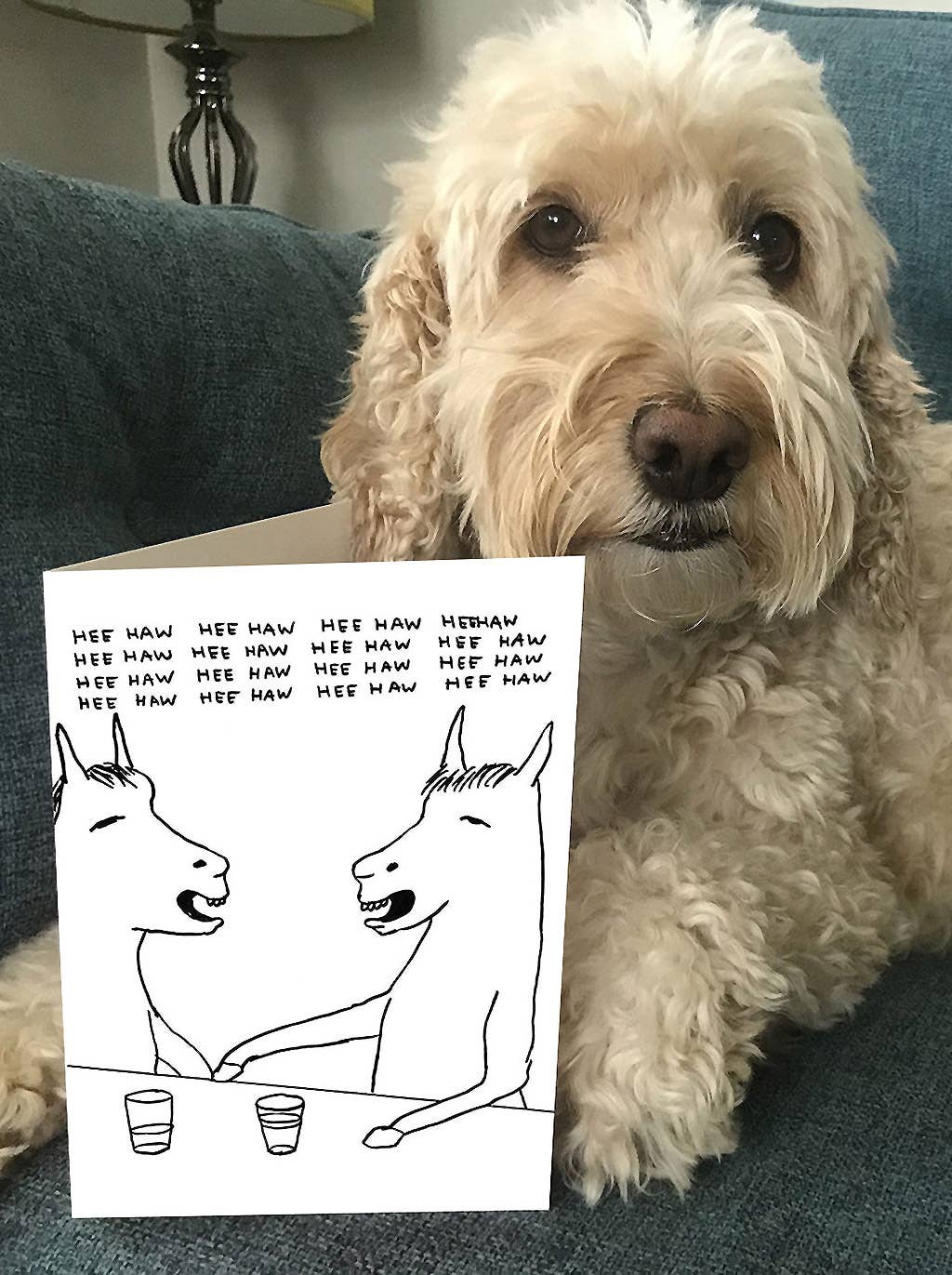 Funny Greetings Card By David Shrigley - HeeHaw