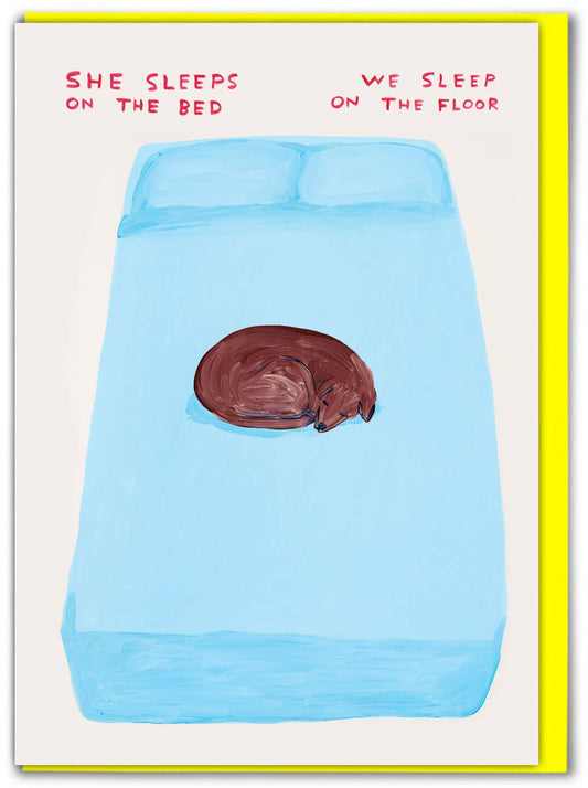 Funny Greetings Card By David Shrigley - Sleep On The Bed