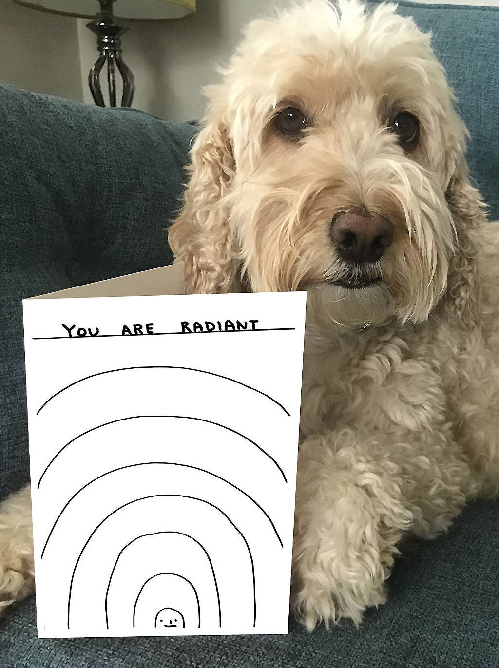 Funny Greetings Card By David Shrigley - You Are Radiant