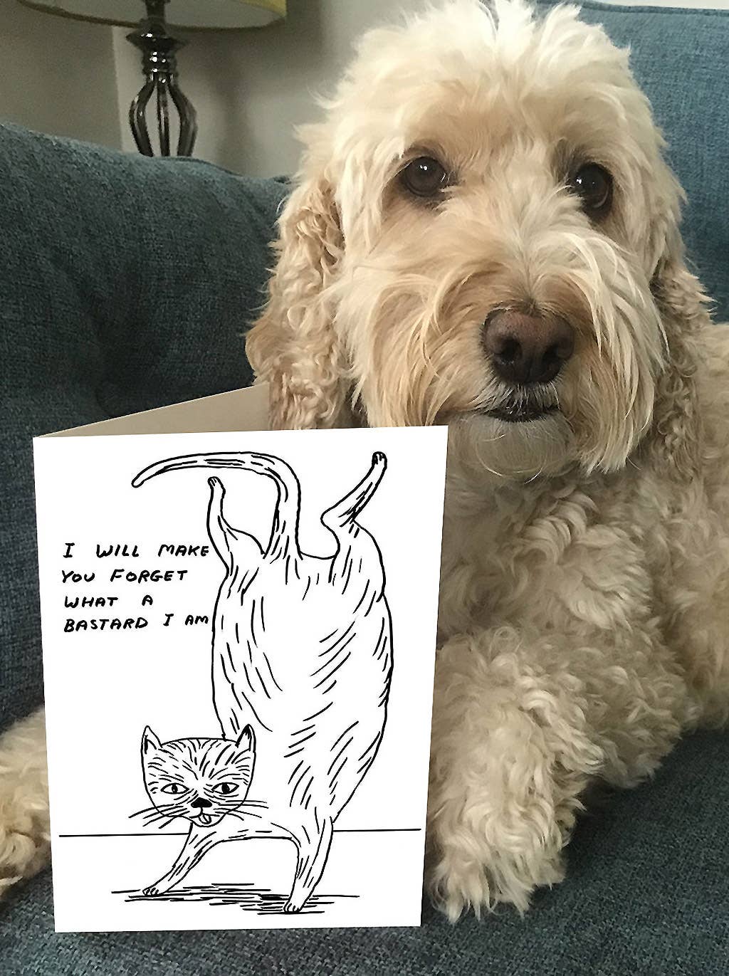Funny Greetings Card By David Shrigley - Bastard Cat