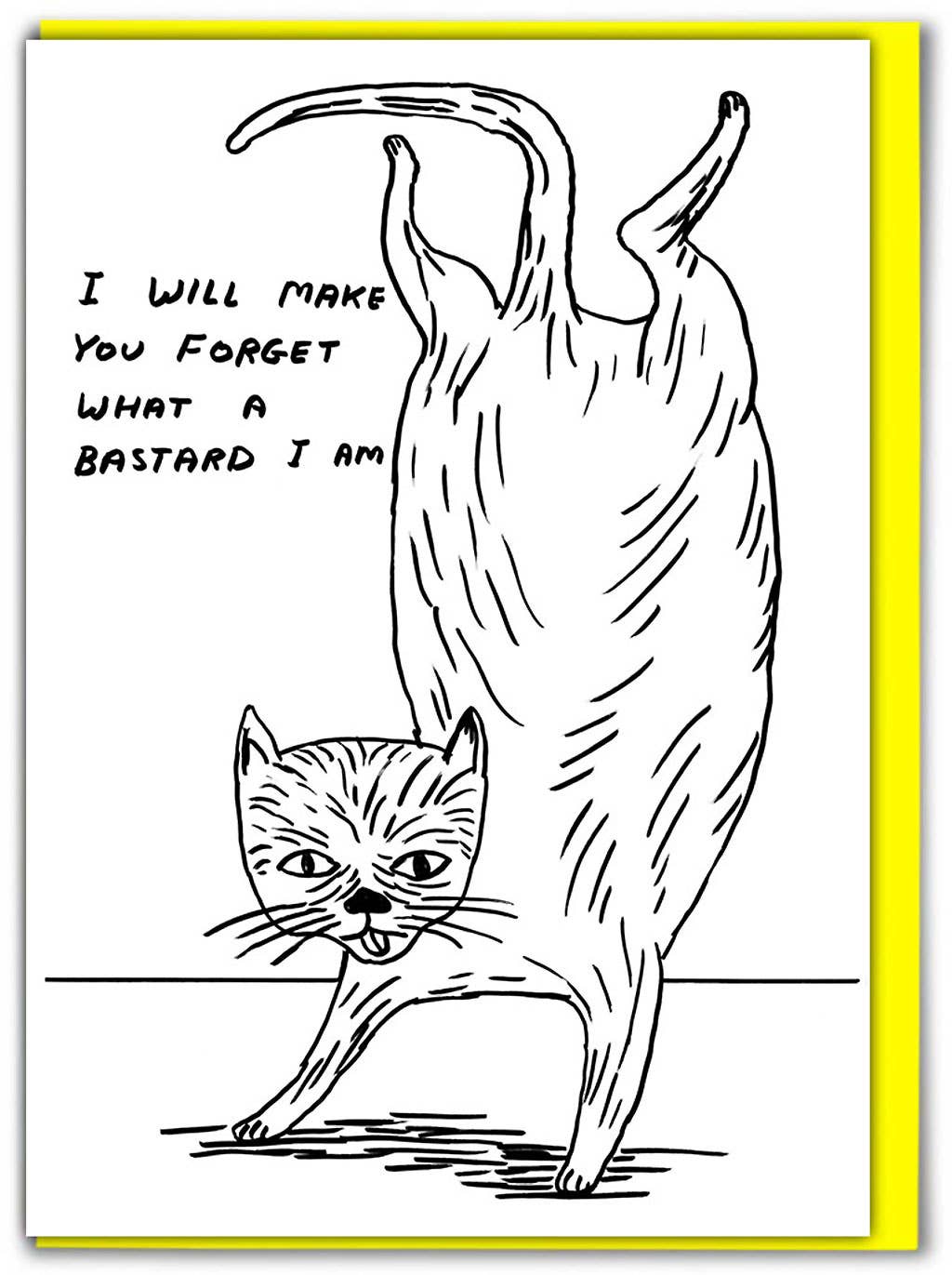 Funny Greetings Card By David Shrigley - Bastard Cat