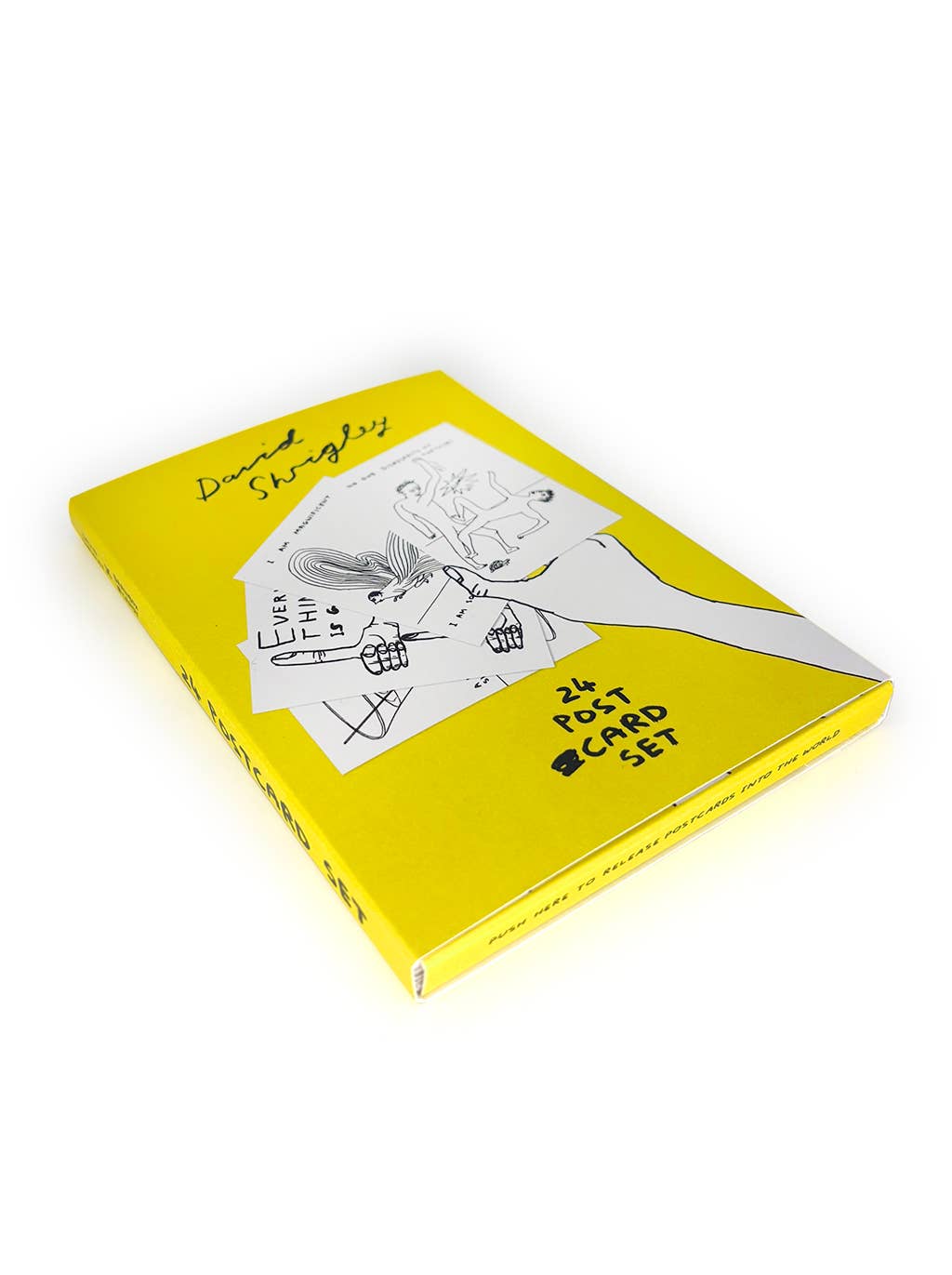 Funny Gift - 24 x David Shrigley Postcards Boxed (Set 1)