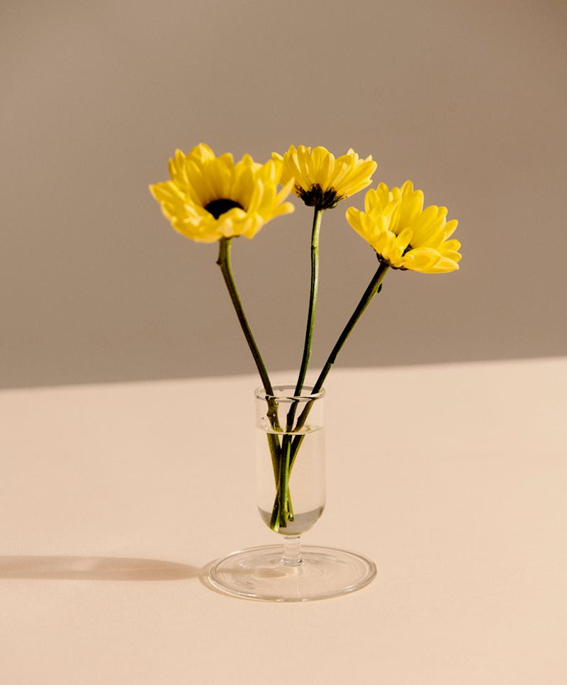 Tiny Vase-Clear