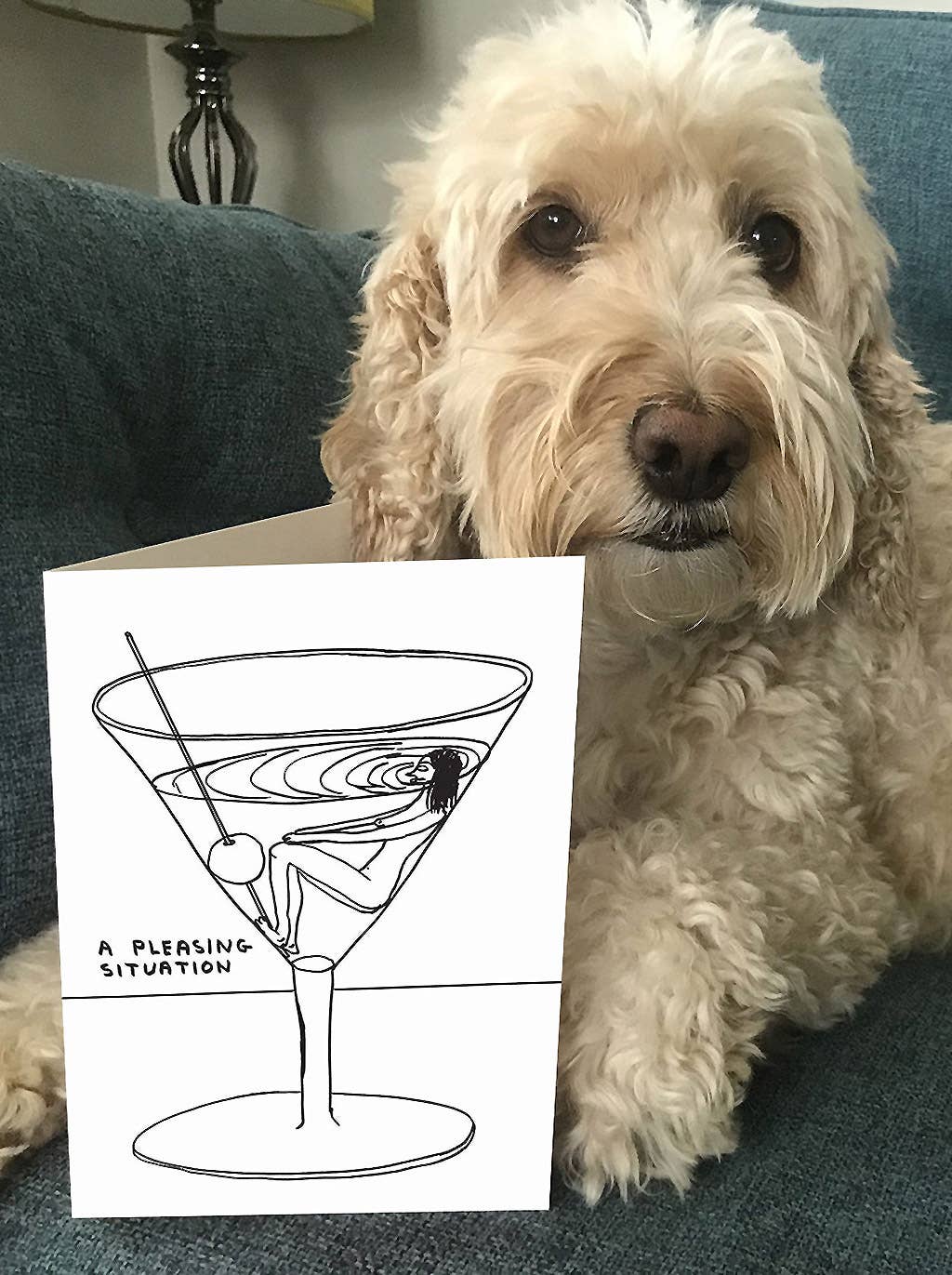 Funny Greetings Card By David Shrigley - Pleasing Situation