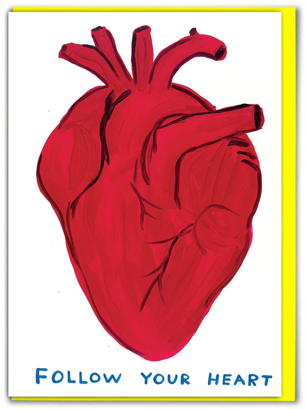 David Shrigley Funny Birthday Card - Follow Your Heart