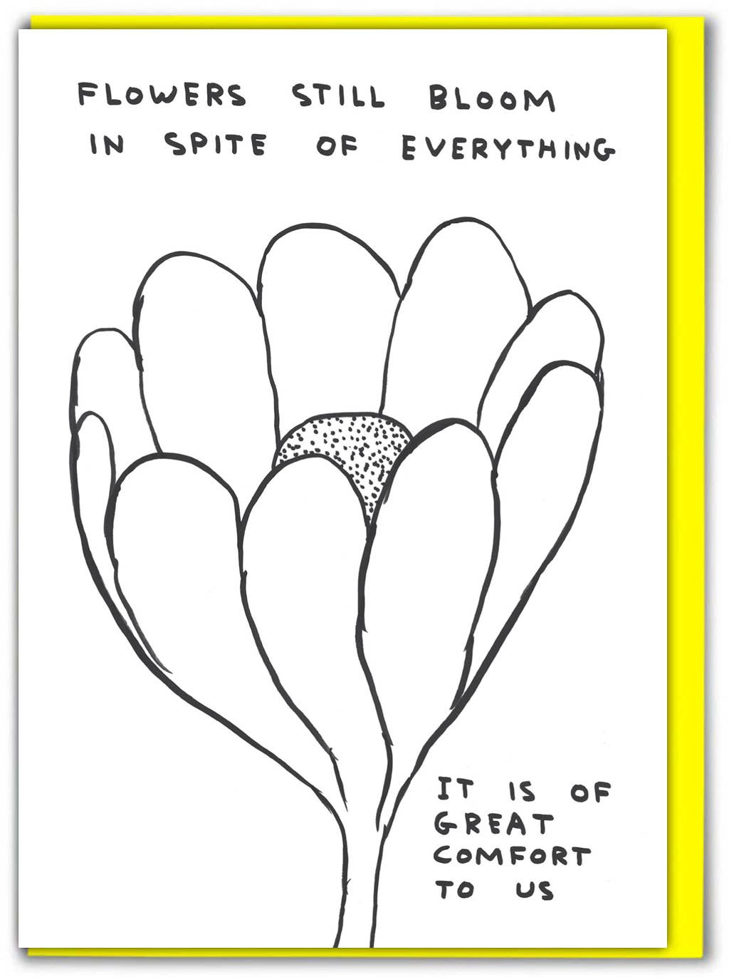 Funny Thinking Of You Card - Flowers Bloom by David Shrigley